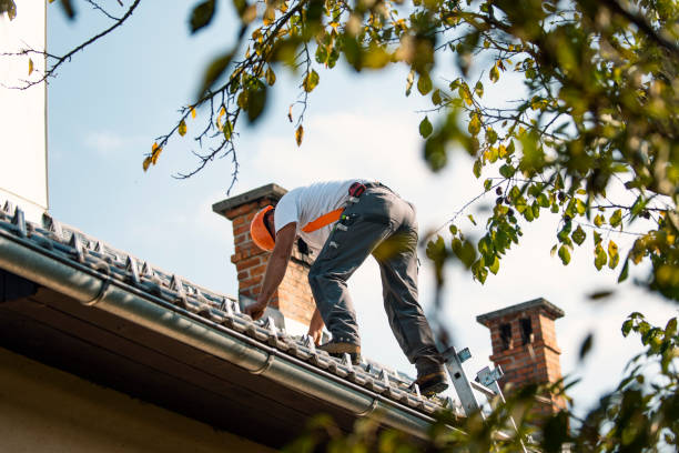 Best Metal Roofing Installation  in Las Campanas, NM